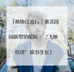 政协江淮行｜淮北段园新型功能区：“飞地经济”拔节生长