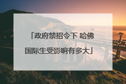 政府禁招令下 哈佛国际生受影响有多大