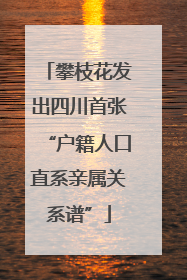 攀枝花发出四川首张“户籍人口直系亲属关系谱”