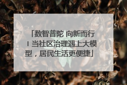 数智普陀 向新而行〡当社区治理遇上大模型，居民生活更便捷
