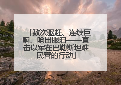 数次驱赶、连续巨响、呛出眼泪——直击以军在巴勒斯坦难民营的行动