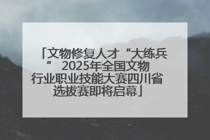 文物修复人才“大练兵” 2025年全国文物行业职业技能大赛四川省选拔赛即将启幕