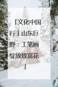 文化中国行丨山东巨野：工笔画绽放致富花