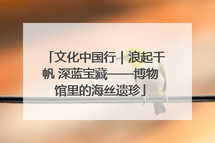 文化中国行｜浪起千帆 深蓝宝藏——博物馆里的海丝遗珍