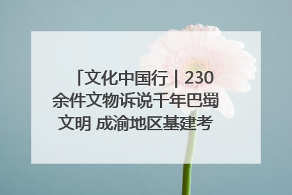 文化中国行｜230余件文物诉说千年巴蜀文明 成渝地区基建考古成果展开展