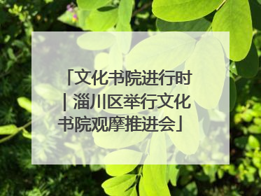 文化书院进行时｜淄川区举行文化书院观摩推进会