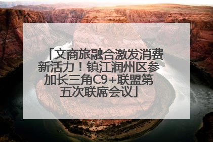文商旅融合激发消费新活力！镇江润州区参加长三角C9+联盟第五次联席会议