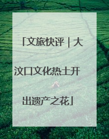 文旅快评｜大汶口文化热土开出遗产之花