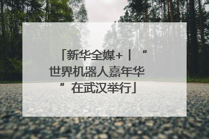 新华全媒+丨“世界机器人嘉年华”在武汉举行