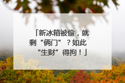 新冰箱被偷，就剩“俩门”？如此“生财”得拘！