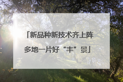 新品种新技术齐上阵 多地一片好“丰”景