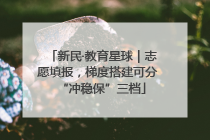新民·教育星球｜志愿填报，梯度搭建可分“冲稳保”三档