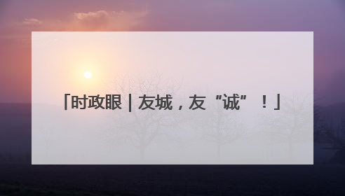 时政眼｜友城，友“诚”！