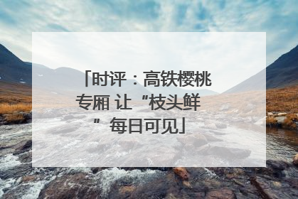 时评：高铁樱桃专厢 让“枝头鲜”每日可见