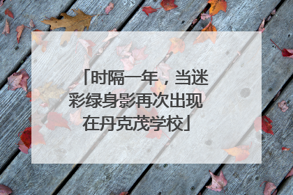 时隔一年，当迷彩绿身影再次出现在丹克茂学校