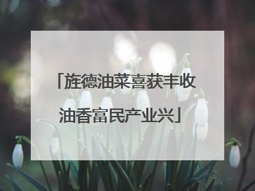旌德油菜喜获丰收 油香富民产业兴