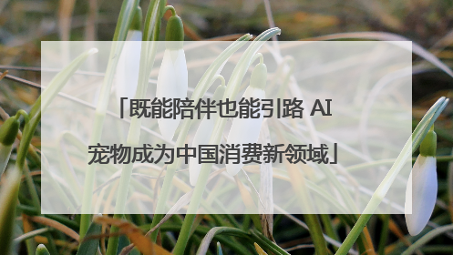既能陪伴也能引路 AI宠物成为中国消费新领域