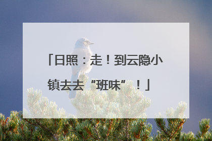日照：走！到云隐小镇去去“班味”！