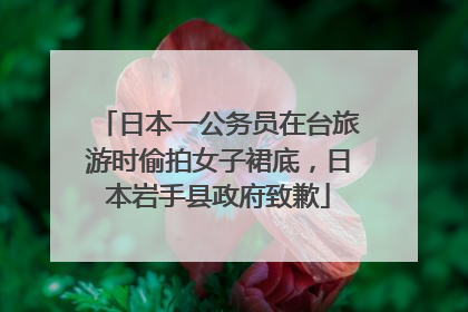 日本一公务员在台旅游时偷拍女子裙底，日本岩手县政府致歉