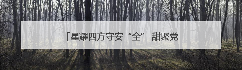 星耀四方守安“全” 甜聚党心传温情——舞阳社区党委开展流动党员建党节主题活动