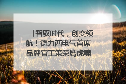智驭时代，创变领航！德力西电气首席品牌官王策荣膺虎啸奖年度品牌人物