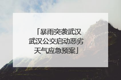 暴雨突袭武汉 武汉公交启动恶劣天气应急预案