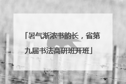 暑气渐浓书韵长，省第九届书法高研班开班