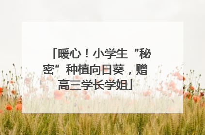 暖心！小学生“秘密”种植向日葵，赠高三学长学姐