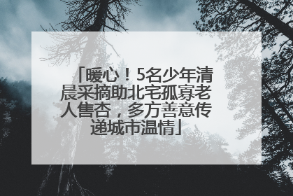 暖心！5名少年清晨采摘助北宅孤寡老人售杏，多方善意传递城市温情