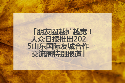 朋友圈越扩越宽！大众日报推出2025山东国际友城合作交流周特别报道