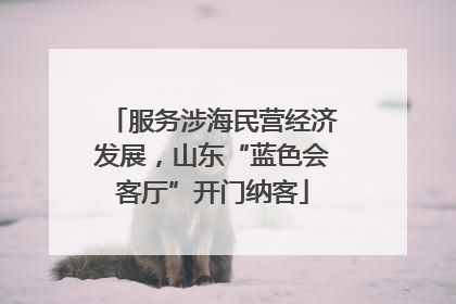 服务涉海民营经济发展，山东“蓝色会客厅”开门纳客