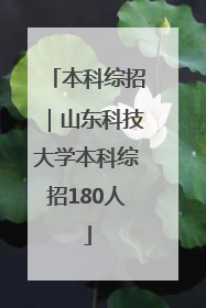 本科综招｜山东科技大学本科综招180人