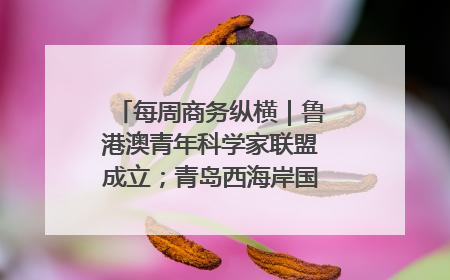 每周商务纵横｜鲁港澳青年科学家联盟成立；青岛西海岸国际能源自贸港启用
