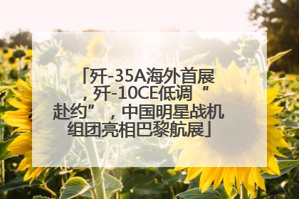 歼-35A海外首展，歼-10CE低调“赴约”，中国明星战机组团亮相巴黎航展