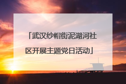 武汉纱帽街泥湖河社区开展主题党日活动