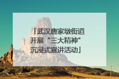 武汉唐家墩街道开展“三大精神”沉浸式宣讲活动