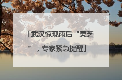 武汉惊现雨后“灵芝”，专家紧急提醒