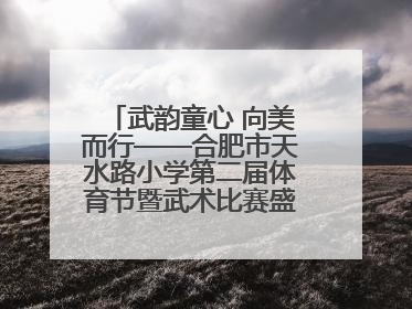 武韵童心 向美而行——合肥市天水路小学第二届体育节暨武术比赛盛大开幕