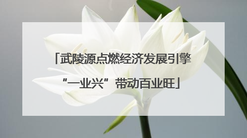 武陵源点燃经济发展引擎 “一业兴”带动百业旺