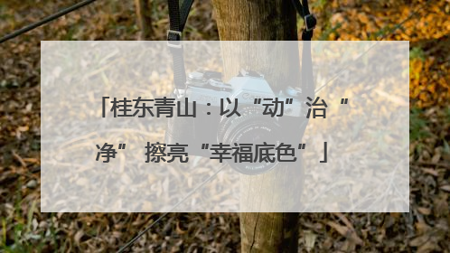 桂东青山：以“动”治“净” 擦亮“幸福底色”