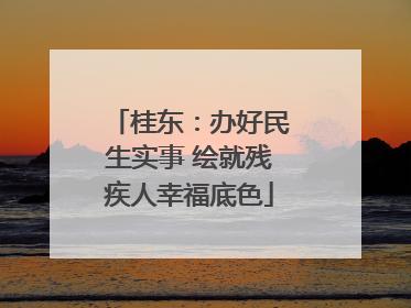桂东：办好民生实事 绘就残疾人幸福底色
