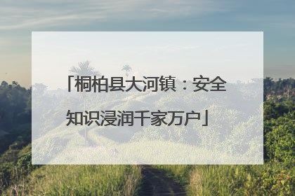 桐柏县大河镇：安全知识浸润千家万户