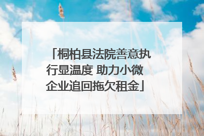 桐柏县法院善意执行显温度 助力小微企业追回拖欠租金