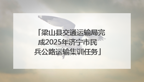 梁山县交通运输局完成2025年济宁市民兵公路运输集训任务