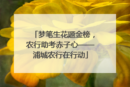 梦笔生花题金榜，农行助考赤子心——浦城农行在行动