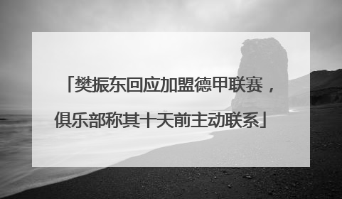 樊振东回应加盟德甲联赛，俱乐部称其十天前主动联系