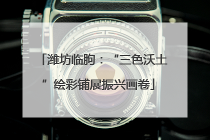 潍坊临朐：“三色沃土”绘彩铺展振兴画卷