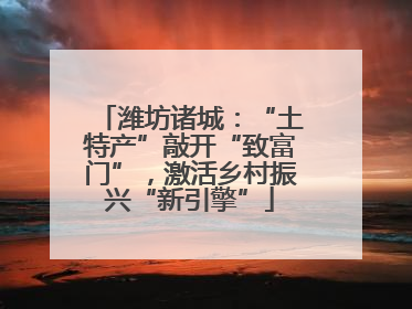 潍坊诸城：“土特产”敲开“致富门”，激活乡村振兴“新引擎”