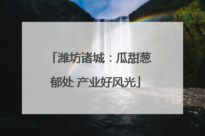 潍坊诸城：瓜甜葱郁处 产业好风光