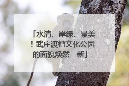 水清、岸绿、景美！武庄渡槽文化公园的面貌焕然一新
